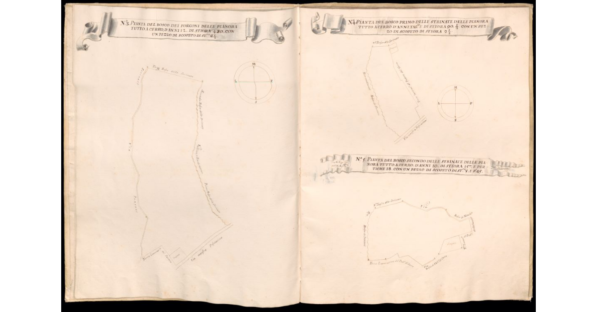 Pianta del bosco dei Forconi delle Pianora [e] Pianta del bosco Primo delle Strinate delle Pianora [e] Pianta del bosco Secondo delle Strinate delle Pianora