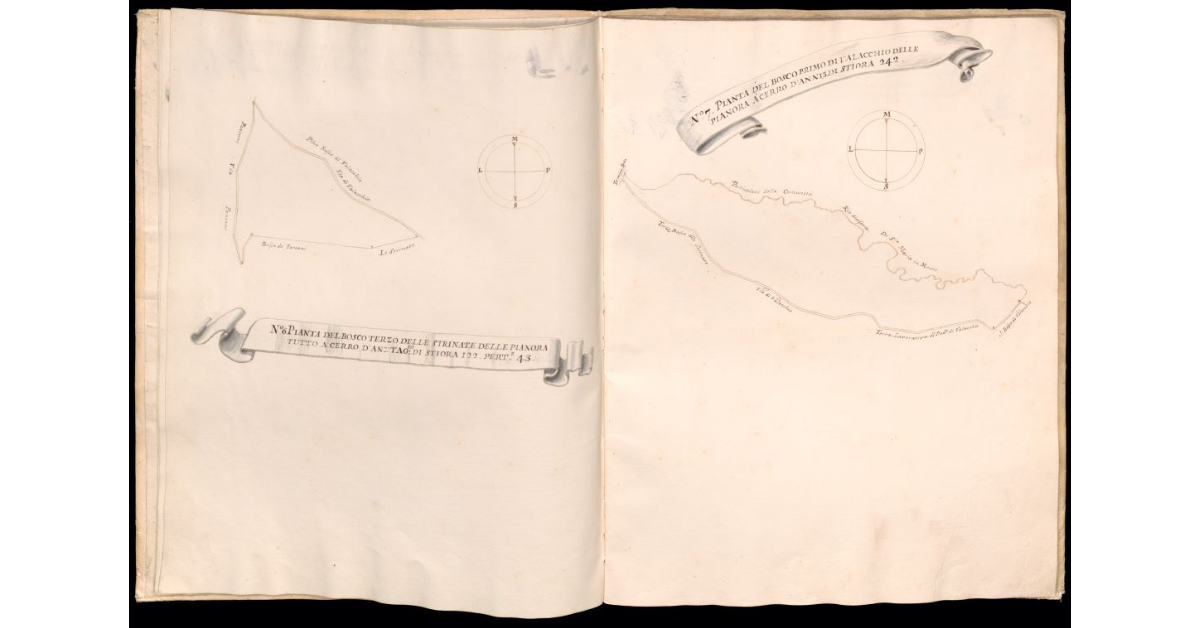 Pianta del bosco Terzo delle Strinate delle Pianora [e] Pianta del bosco Primo di Valacchio delle Pianora
