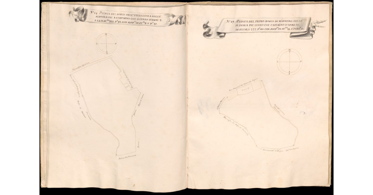Pianta del bosco dell'Uccelliera delle Pianora [e] Pianta del primo bosco di Marrano delle Pianora