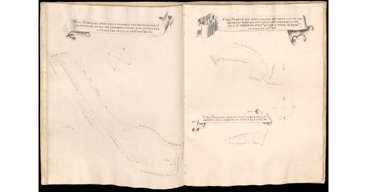 Pianta del bosco della Pendice del Palazzo delle Pianora [e] Pianta del bosco dietro all'orto del Palazzo delle Pianora [e] Pianta del Boschetto detto la Querciola de' Pantani delle Pianora