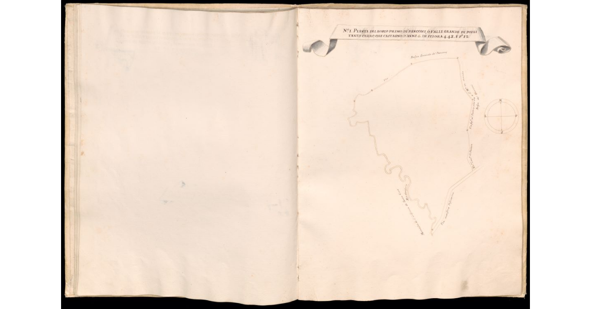Pianta del bosco primo de Panconi o Valle Grande di Pozzi