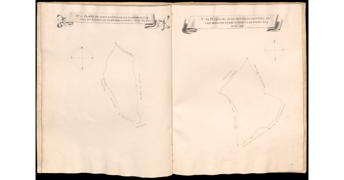 Pianta del bosco della Selva di Pozzi [e] Pianta del bosco del Vallino Buio, o Diaccione di Pozzi