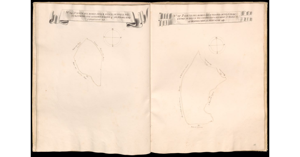 Pianta del bosco del Cannellaio di Pozzi [e] Pianta del bosco del Toro di Pozzi