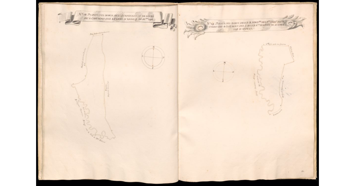 Pianta del bosco della Pendice delle Tre Fontine di Pozzi [e] Pianta del bosco delle Tinte di Pozzi