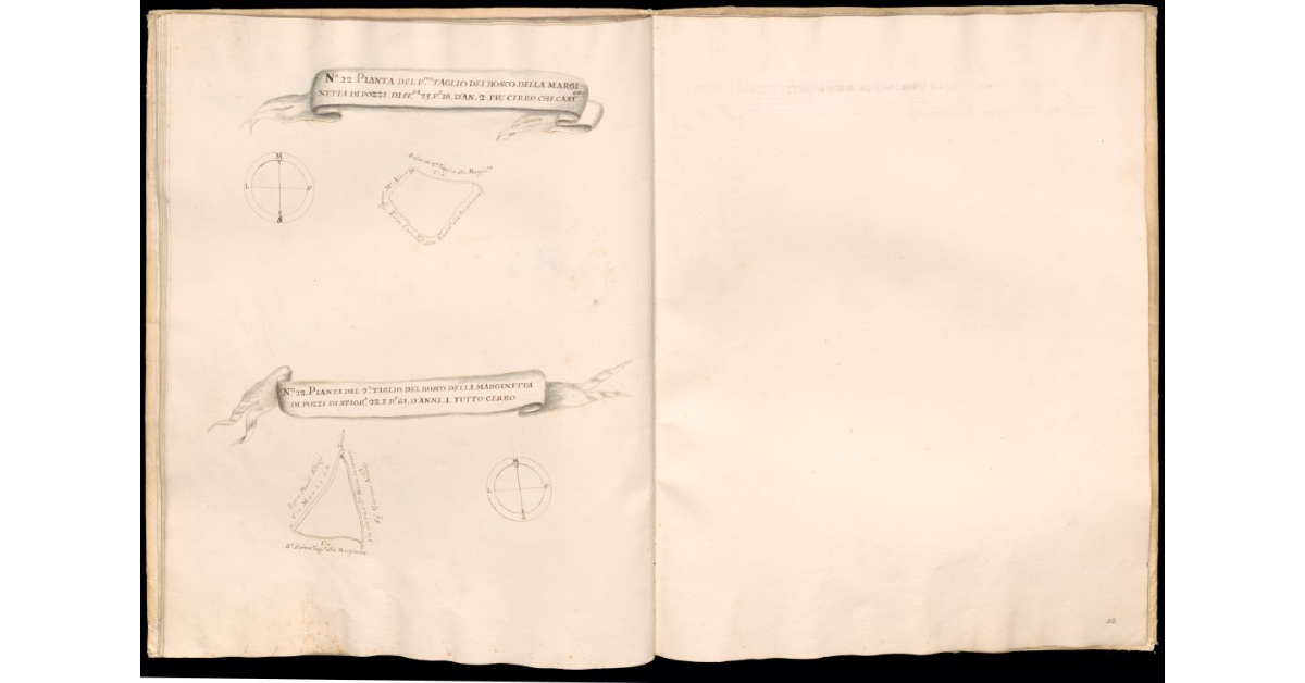 Ristretto delle Stiora delle Tagliate de' boschi delle Pianora [e] di Pozzi