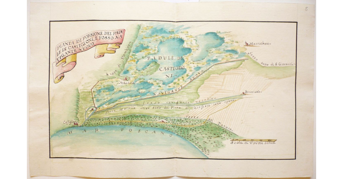 Pianta di porsione del Padule di Castiglioni, e Fosso Navigante Nuovo