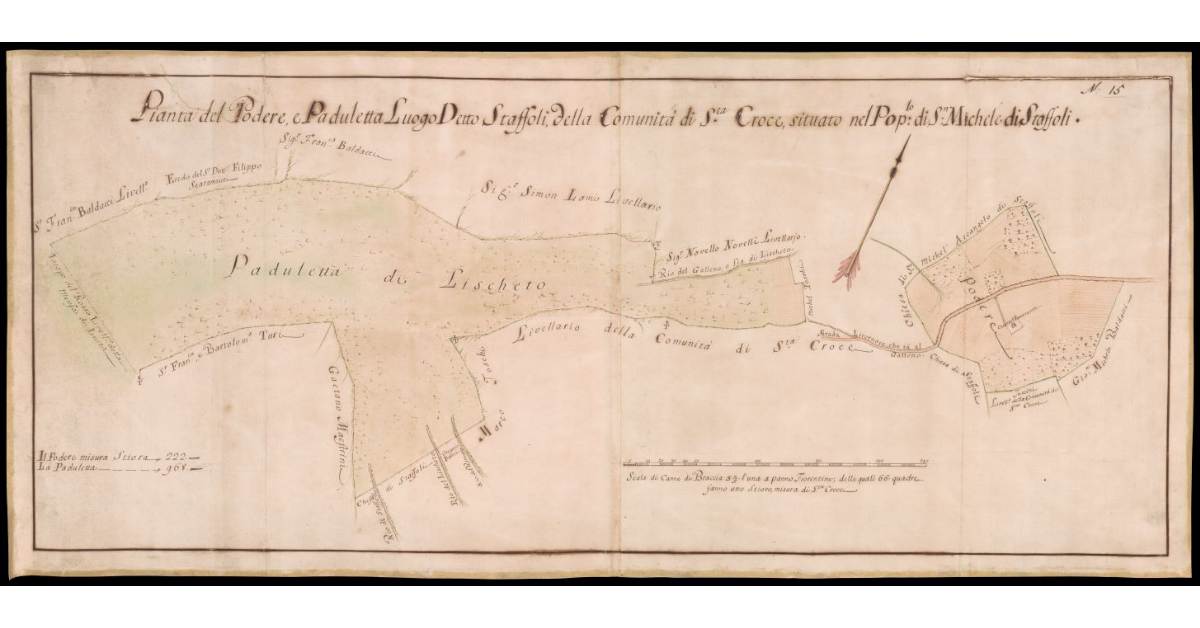 Pianta del Podere e Paduletta luogo detto Staffoli della Comunità di S.ta Croce, situato nel Popolo di S. Michele di Staffoli