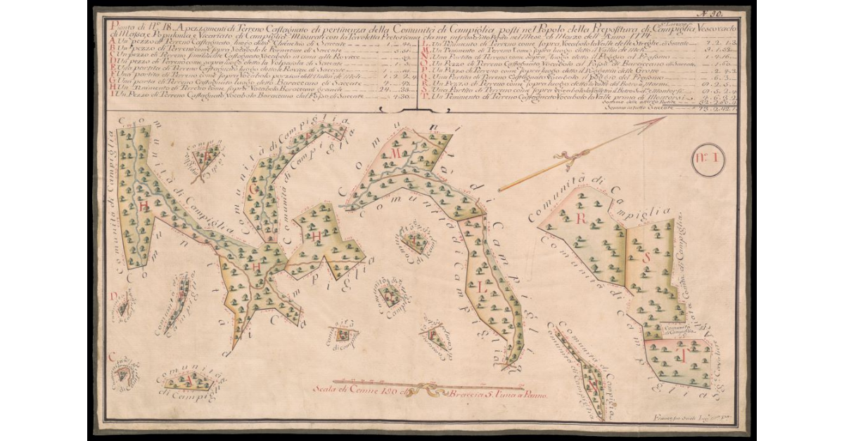 Pianta di N. 18 appezzamenti di terreno castagnato di pertinenza della Comunità di Campiglia posti nel Popolo della Prepositura di S. Lorenzo a Campiglia, Vescovado di Massa e Populonia e Vicariato di Campiglia