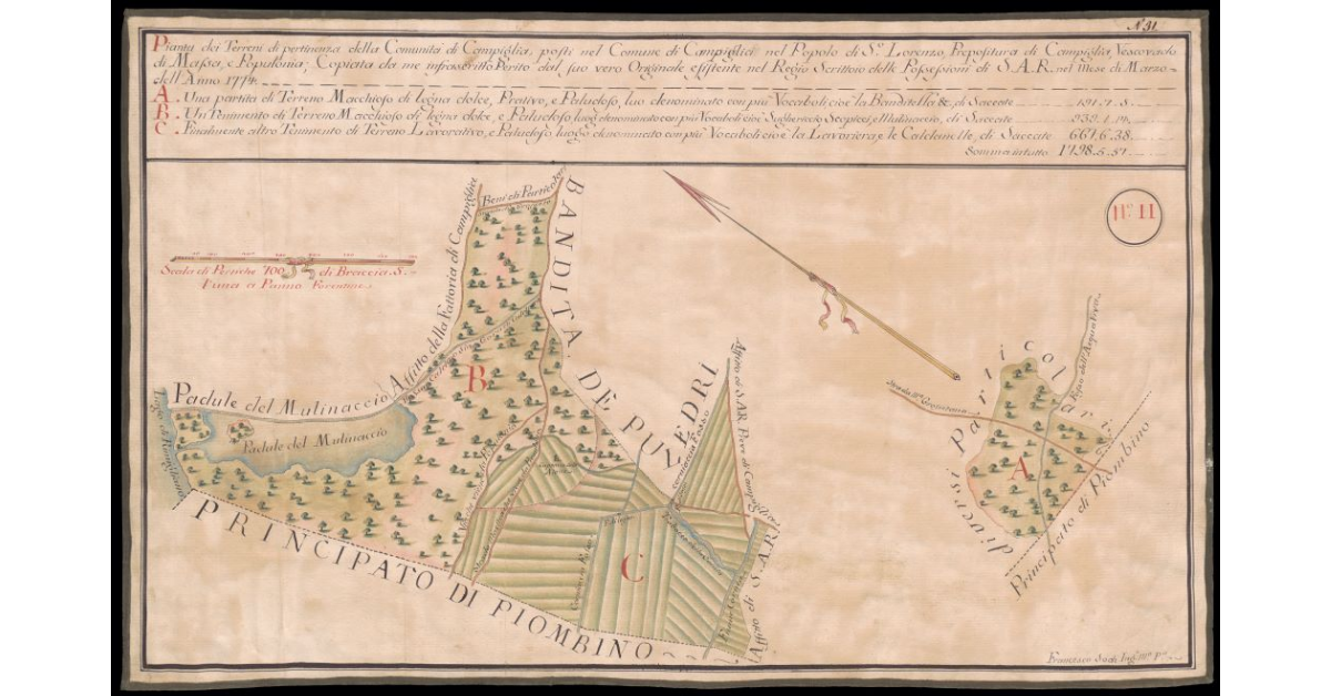 Pianta dei terreni di pertinenza della Comunità di Campiglia, posti nel Comune di Campiglia nel Popolo di S. Lorenzo, Prepositura di Campiglia, Vescovado di Massa e Populonia