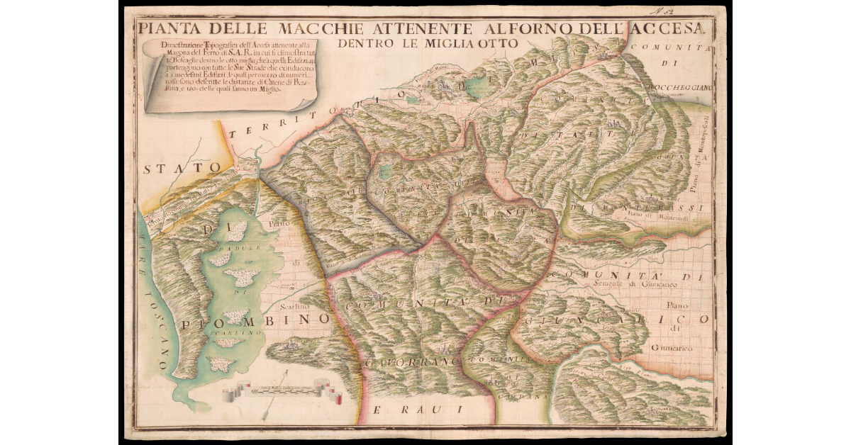 Pianta delle macchie attenente al forno dell'Accesa entro le miglia otto