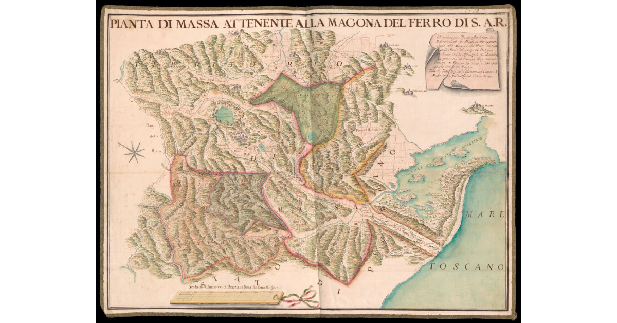 Pianta di Massa attenente alla Magona del ferro di S.A.R