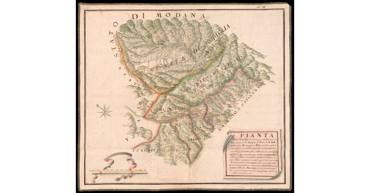 Pianta delle boscaglie che attengono alle Ferriere di Mammiano della Magona del ferro di S.A.R