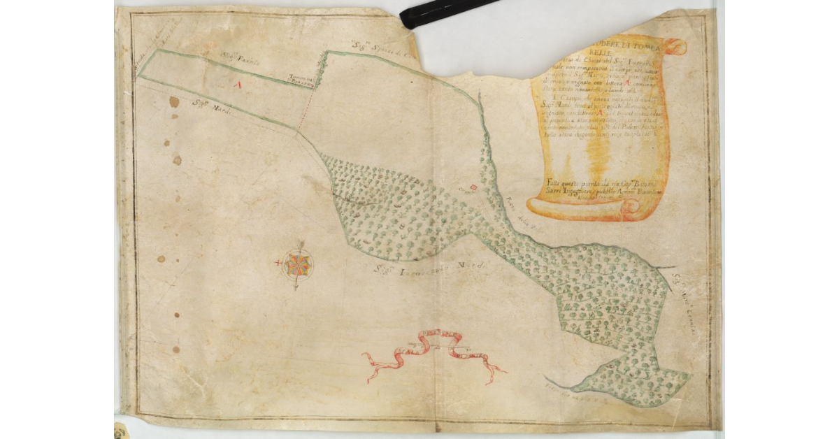 Pianta del Podere di Tombarelle nel territorio di Chiusi del Sig. Fraticelli