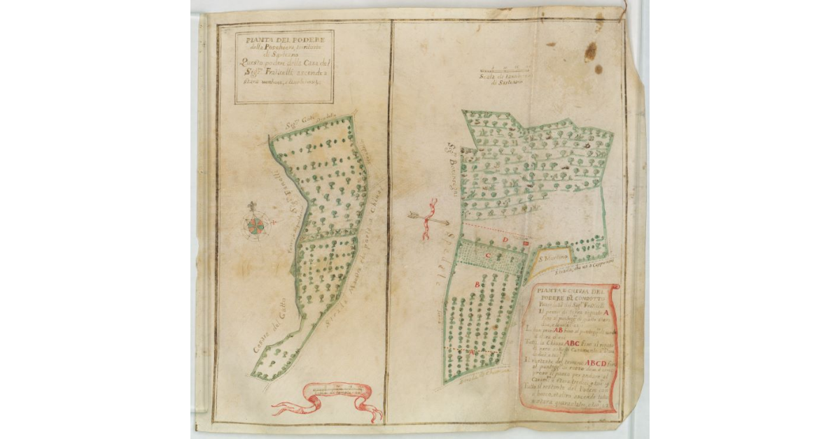 Pianta del Podere della Peschiera territorio di Sarteano [e] Pianta e Chiusa del Podere del Condotto