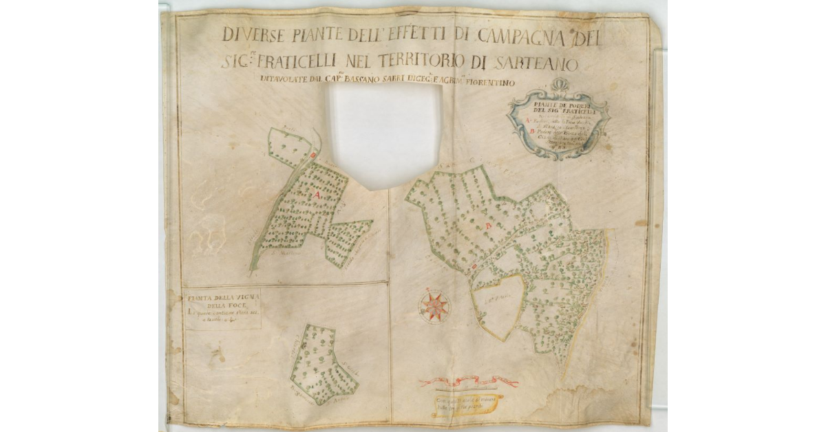 Diverse piante dell'effetti di campagna del Sig.re Fraticelli nel territorio di Sarteano