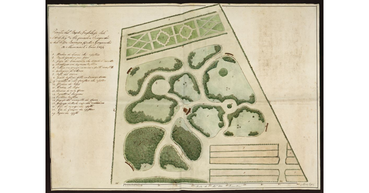 Pianta del bosco inghilese del Nobil Signor Alessandro Sergardi e della Signora baronessa Giulia Spannocchi a Marciano