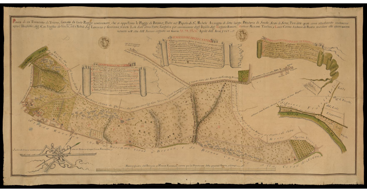 Pianta di un tenimento di terreno, formato da tante piagge continovate che si appellano le Piagge di Brenna poste nel Popolo di S. Michele Arcangelo di detto luogo, Potesteriadi Suicille, Stato di Siena