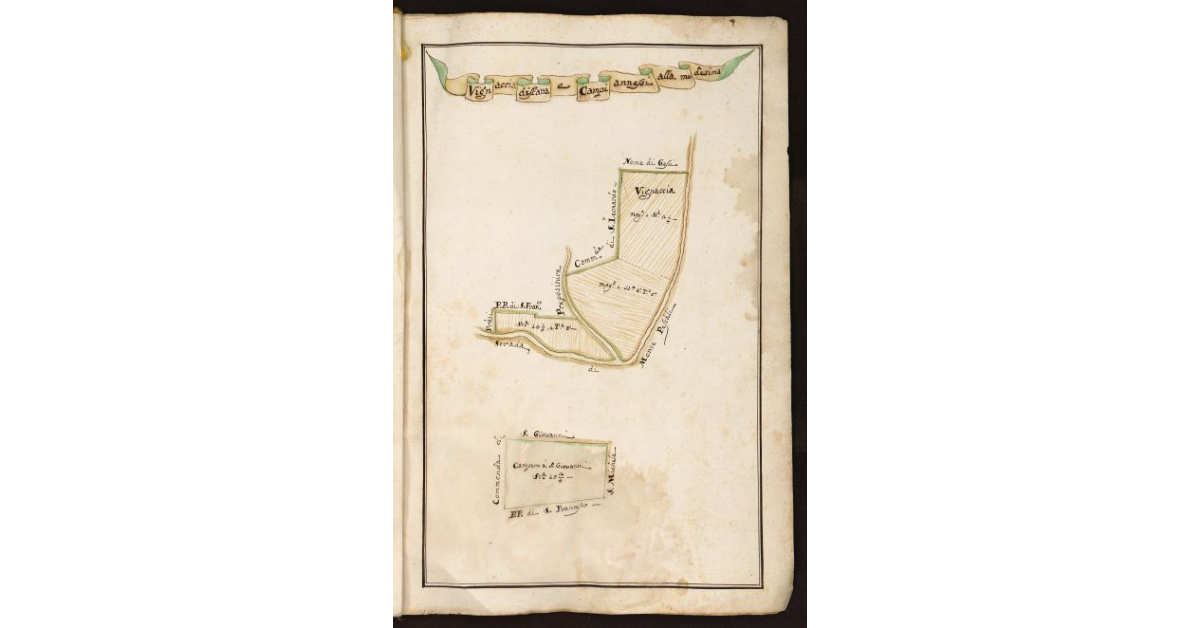 Vignaccia disfatta e campi annessi alla medesima