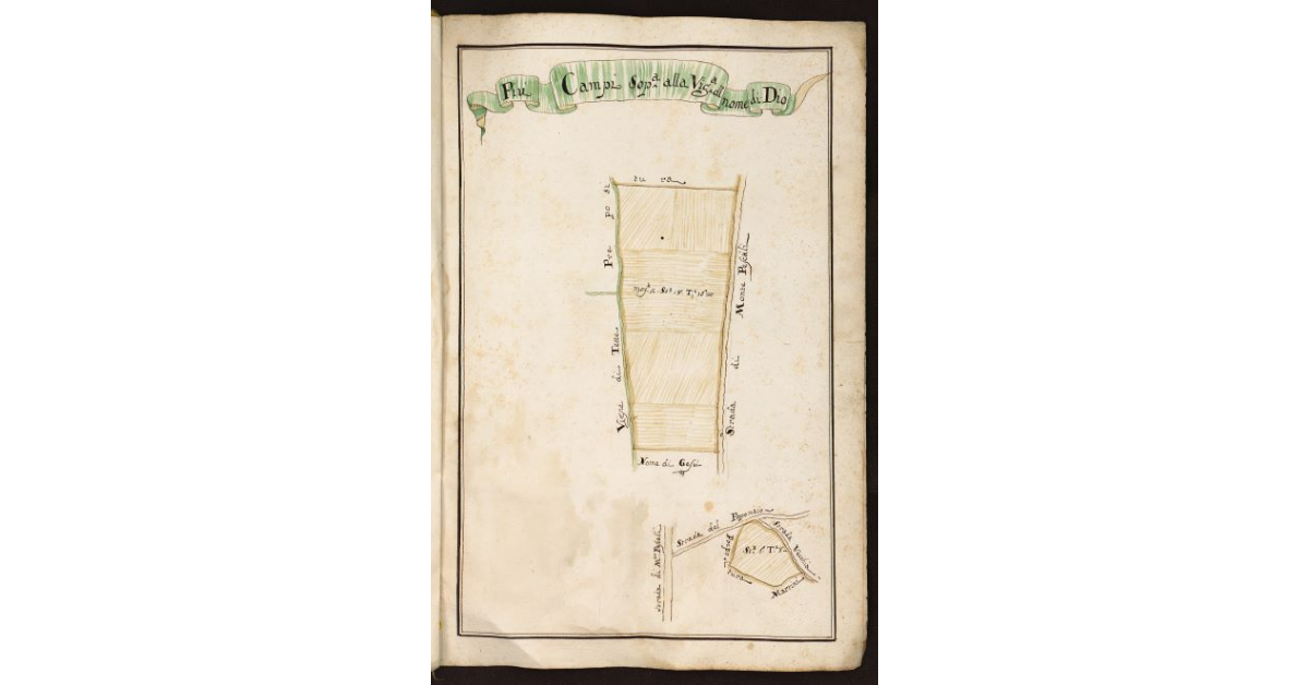 Più campi sopra alla Vigna del Nome di Dio