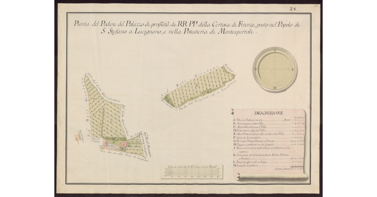 Pianta del Podere del Palazzo di proprietà de RR. PP. della Certosa di Firenze, posto nel Popolo di S. Stefano a Lucignano, e nella Potesteria di Montespertoli