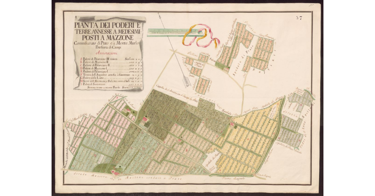 Pianta dei poderi e terre annesse a medesimi posti a Mazzone Commissariato di Prato e a Monte Murlo Potesteria di Campi