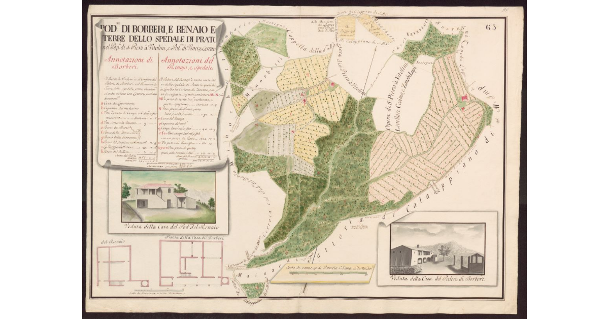 Podere di Borberi, e Renaio e terre dello Spedale di Prato nel Popolo di S. Piero a Vitolini, e Potesteria di Vinci e Cerreto