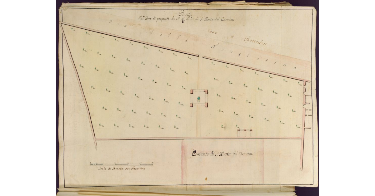 Pianta dell'orto di proprietà dei M. R. Padri di S. Maria del Carmine