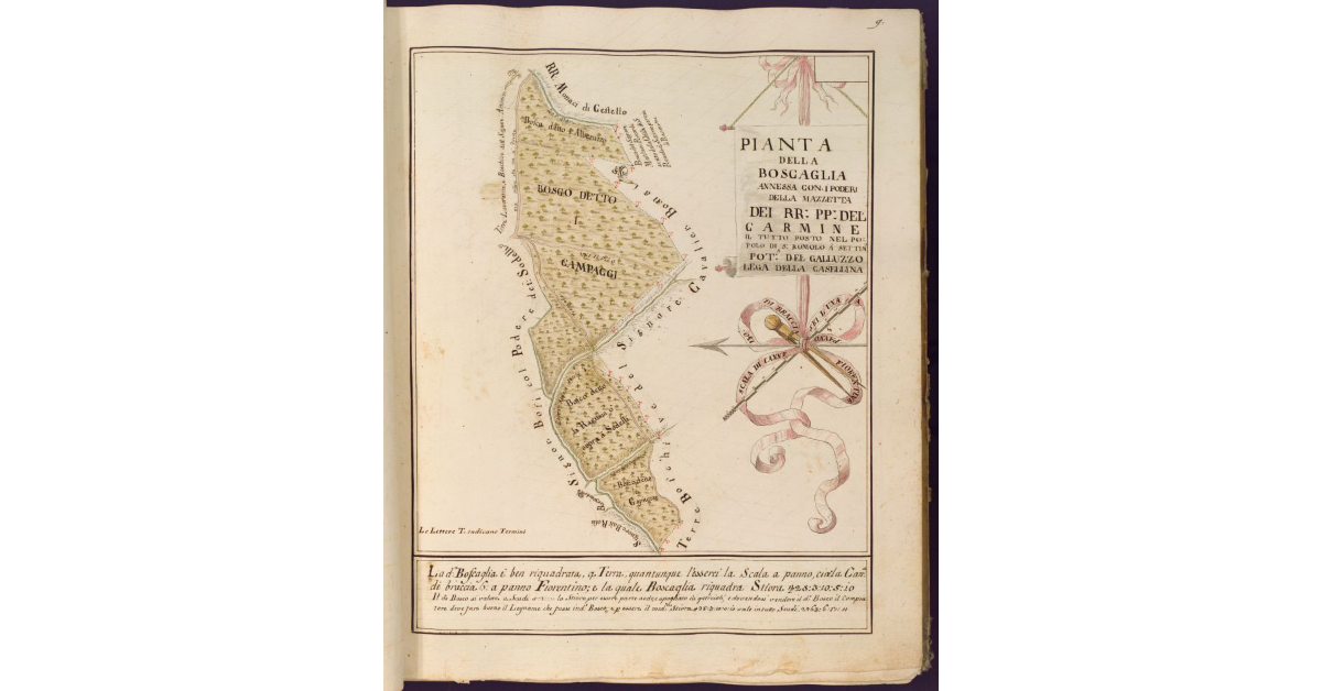 Pianta della boscaglia annessa con i Poderi della Mazzetta dei RR. PP. del Carmine il tutto posto nel Popolo di S. Romolo a Settignano Potesteria del Galluzzo Lega della Casellina