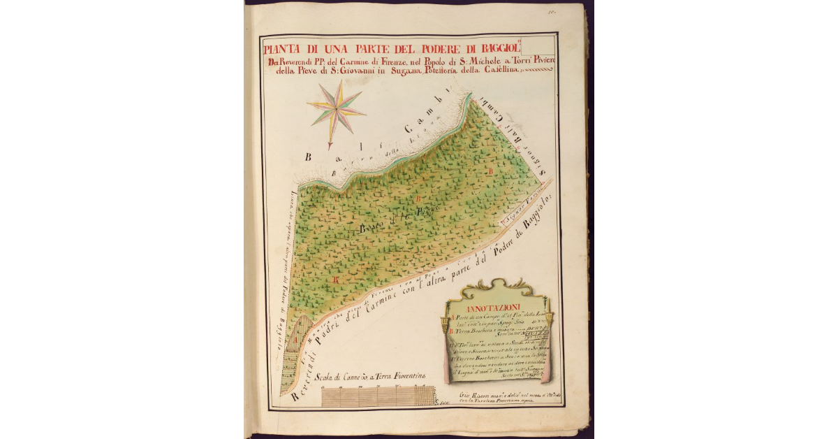 Pianta di una parte del Podere di Baggiolo dei Reverendi PP. del Carmine di Firenze, nel Popolo di S. Michele a Torri Piviere della Pieve di S. Giovanni in Sugana, Potesteria della Casellina