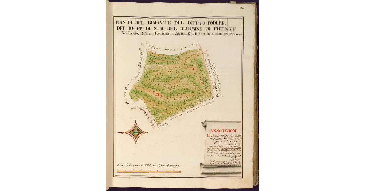 Pianta del rimanente del [Podere del Soglio dei RR. PP. di S. M. del Carmine di Firenze nel Popolo di S. Maria a Marciola cura annessa a S. Michele a Torri, Piviere della Pieve di Vincenzio a Torri, Potesteria della Casellina]