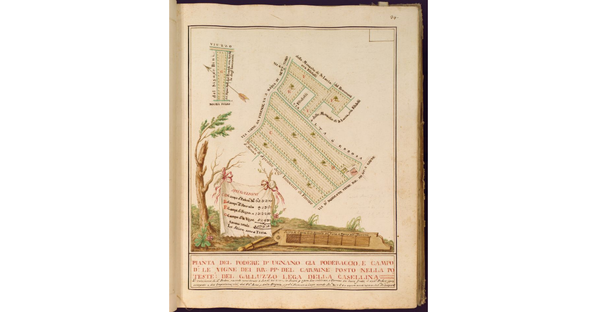 Pianta del Podere di Ugnano già Poderaccio e campo detto Le Vigne dei RR. PP. del carmine posto nella Potesteria del Galluzzo Lega della Casellina