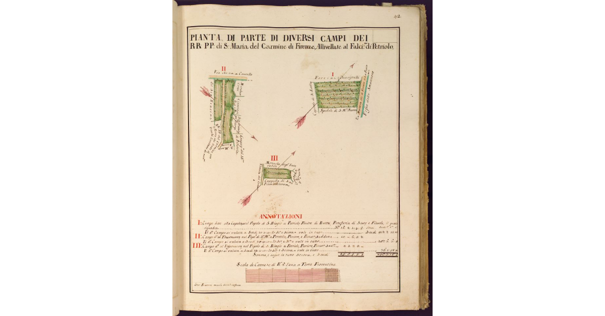 Pianta di parte di diversi campi dei RR. PP. di S. Maria del Carmine di Firenze, allivellate al Falcini di Petriolo