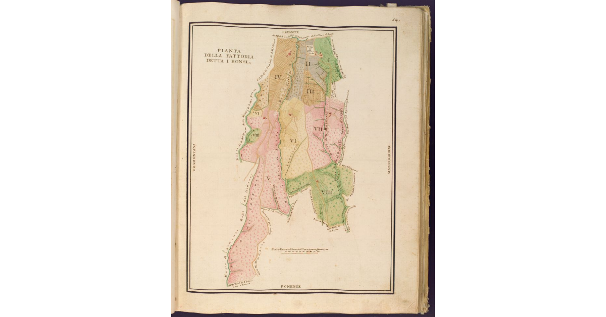 Pianta della Fattoria detta I Bonsi