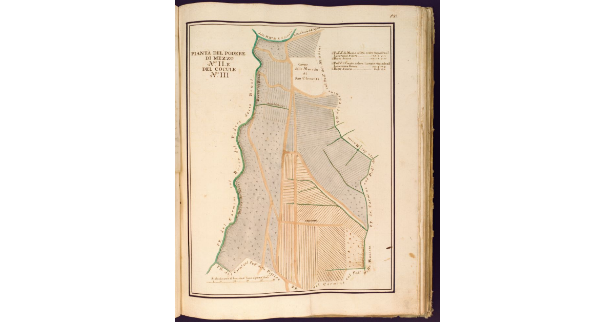 Pianta del Podere di Mezzo N. II e del Cocule N. III