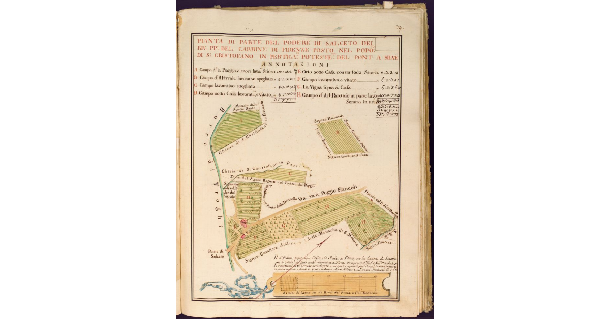 Pianta di parte del Podere di Salceto dei RR. PP. del Carmine di Firenze posto nel Popolo di S. Cristofano in Perticaia Potesteria del Pont' a Sieve