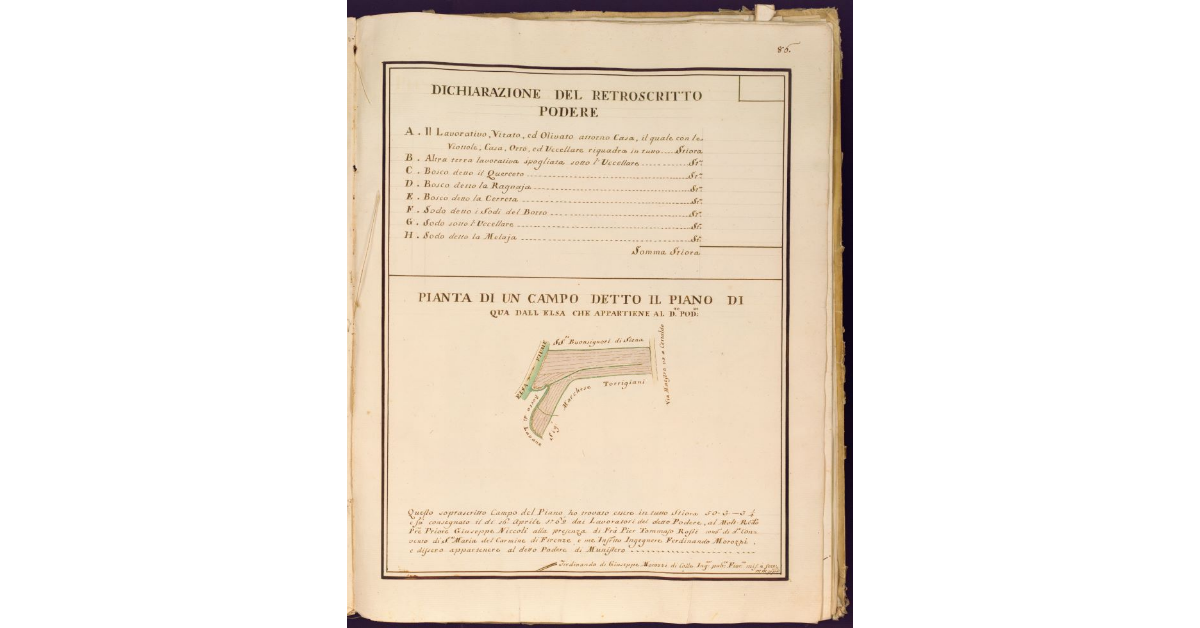 Pianta di un campo detto il Piano di qua dall'Elsa che appartiene al [Podere detto Munistero dei RR. PP. del Carmine di Firenze, posto nella Pieve, e Cura di S. Donnino a Megognano Potesteria e Vicariato di Certaldo]