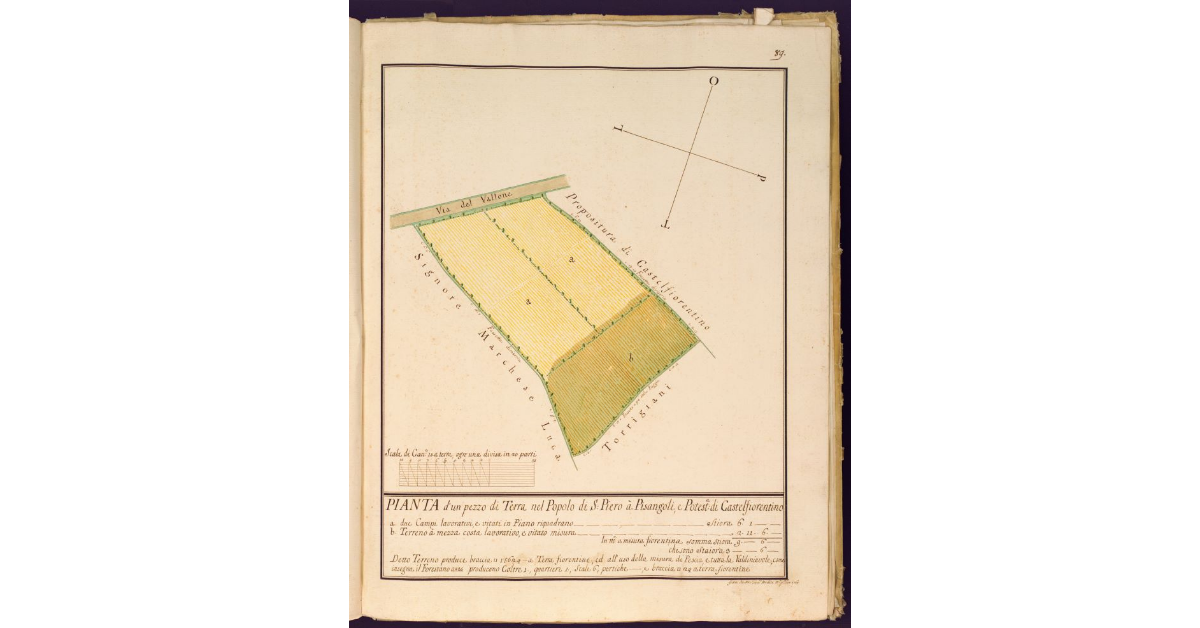 Pianta d'un pezzo di terra nel Popolo di S. Piero a Pisangoli, e Potesteria di Castelfiorentino