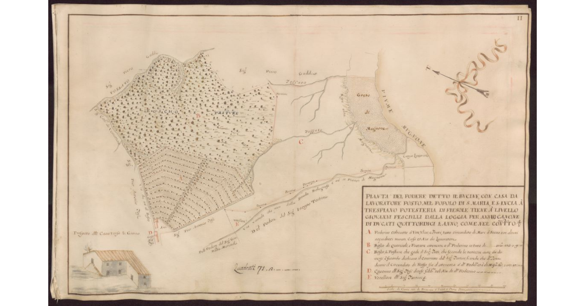 Pianta del Podere detto Il Bucine, con casa da lavoratore posto nel Popolo di S. Maria, e S. Lucia a Trespiano Potesteria di Fiesole