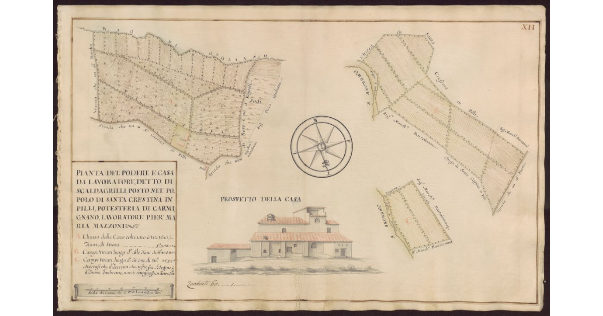 Pianta del Podere e casa da lavoratore detto di Scaldagrilli, posto nel Popolo di Santa Crestina in Pilli, Potesteria di Carmignano