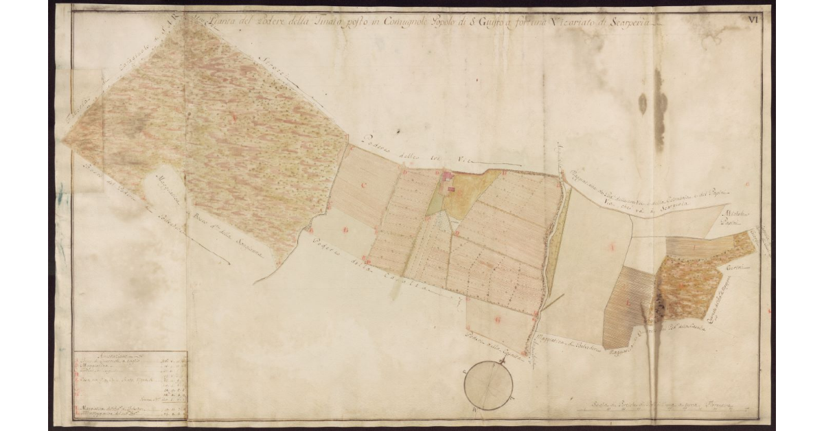 Pianta del Podere della Tinaia posto in Comugnole Popolo di S. Giusto a Fortuna Vicariato di Scarperia