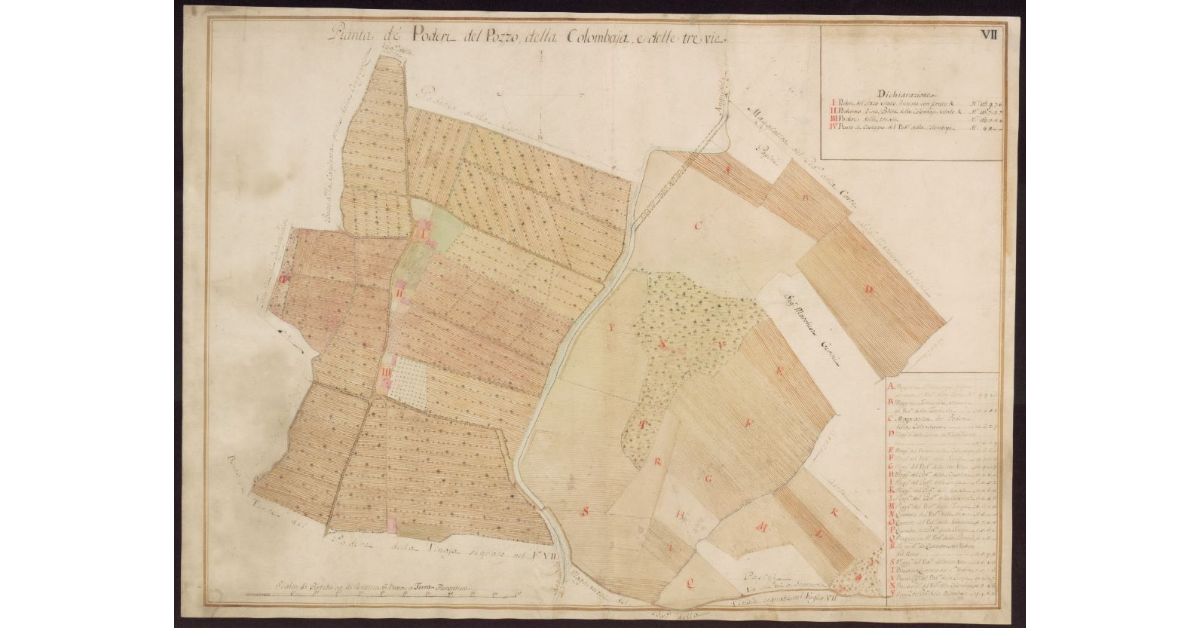 Pianta de' Poderi del Pozzo della Colombaia e delle Tre Vie
