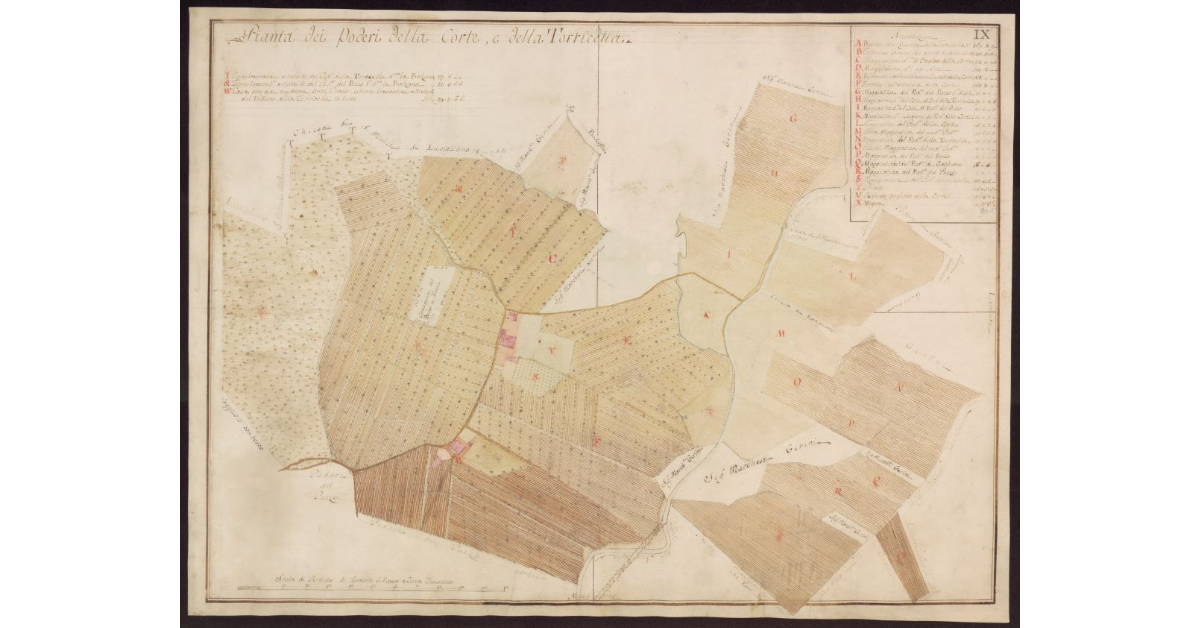 Pianta dei Poderi della Corte e della Torricella