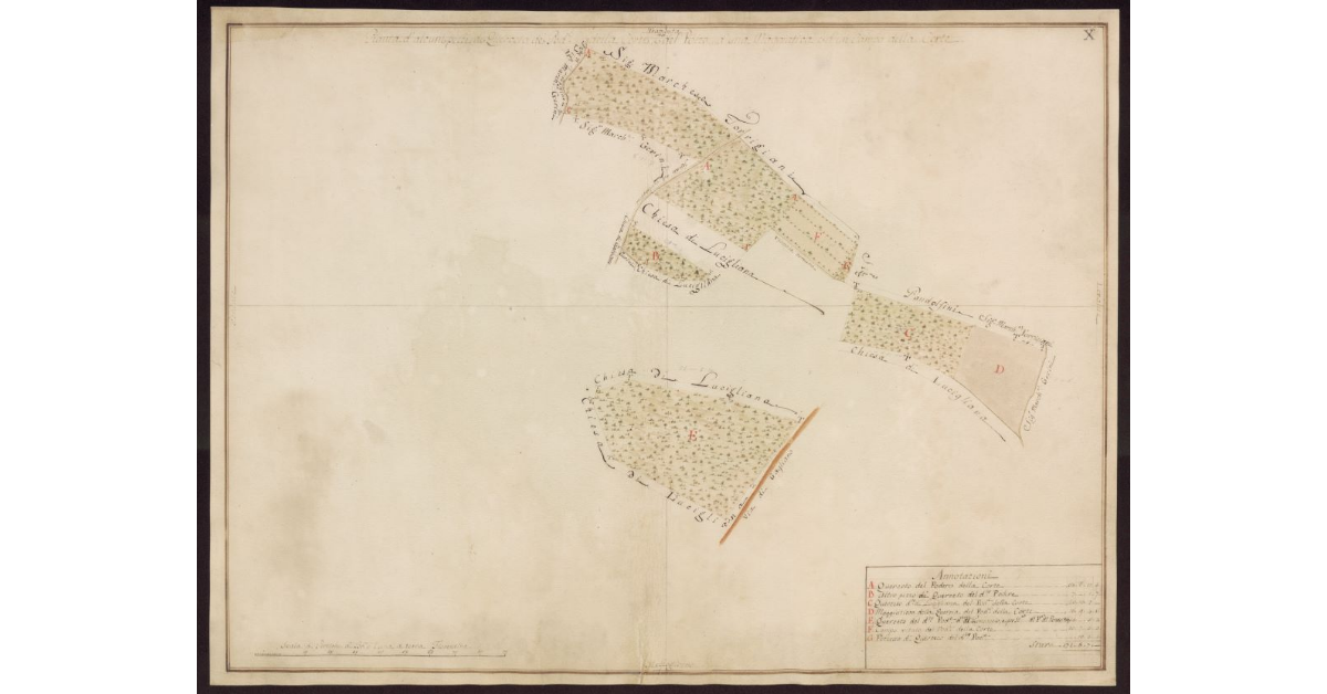 Pianta d'alcuni pezzi di querceto de Poderi della Corte e del Pozzo, d'una maggiatica ed un campo della Corte