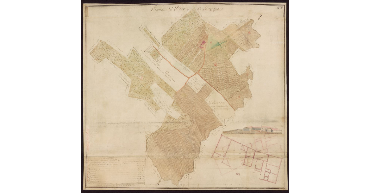 Pianta del Podere di Magognano