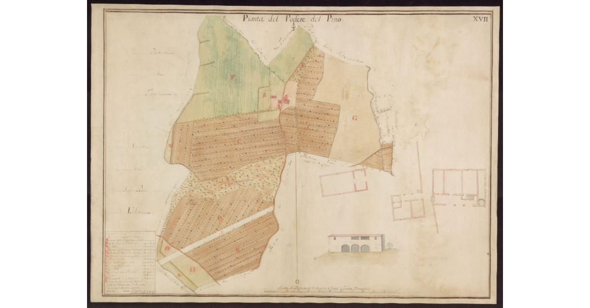 Pianta del Podere del Pino