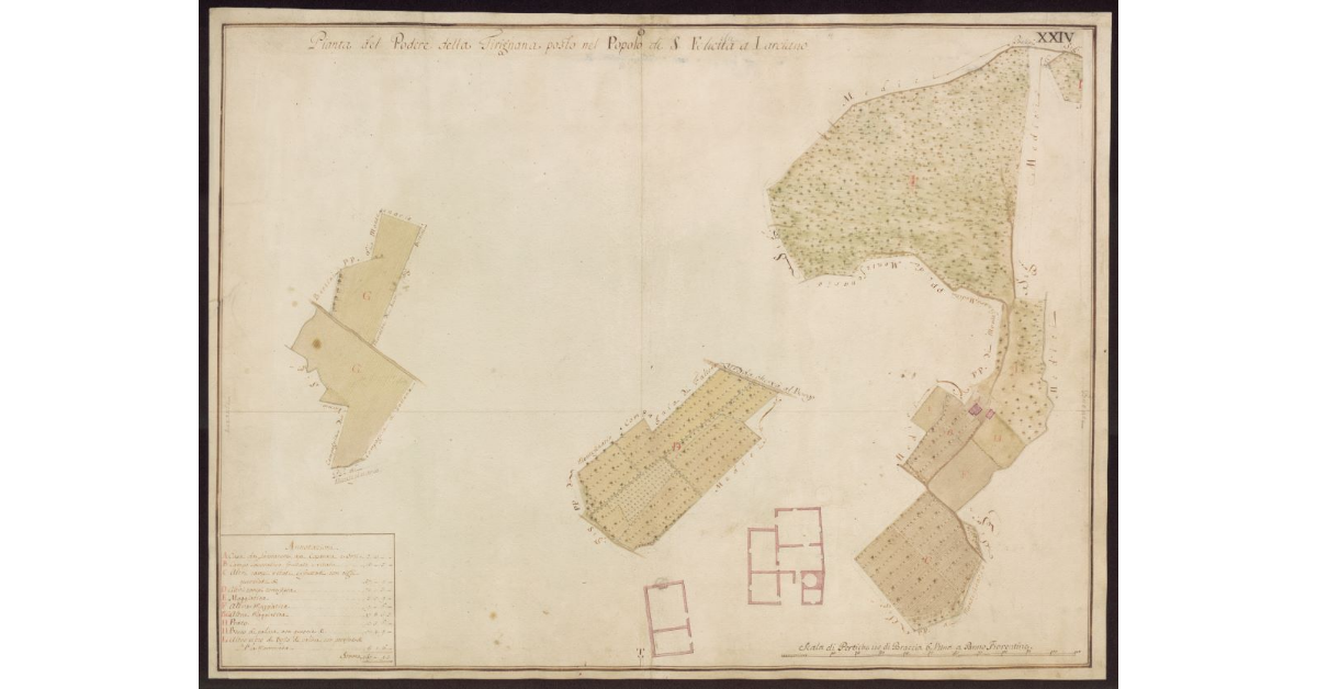 Pianta del Podere della Tirignana posto nel Popolo di S. Felicita a Larciano