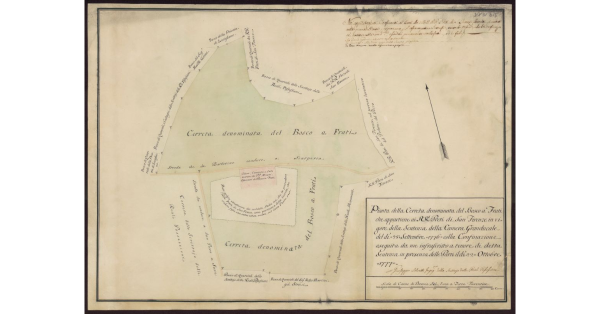 Pianta della cerreta denominata del Bosco a Frati che appartiene ai RR. Preti di S. Firenze