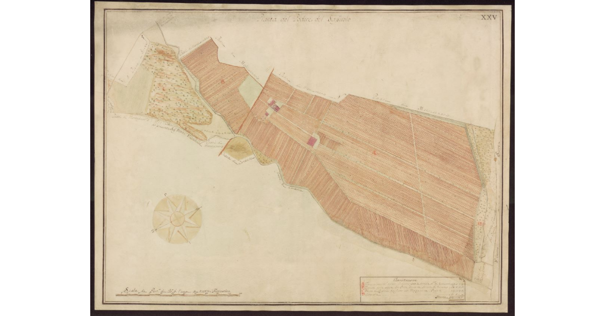 Pianta del Podere di Sassuolo