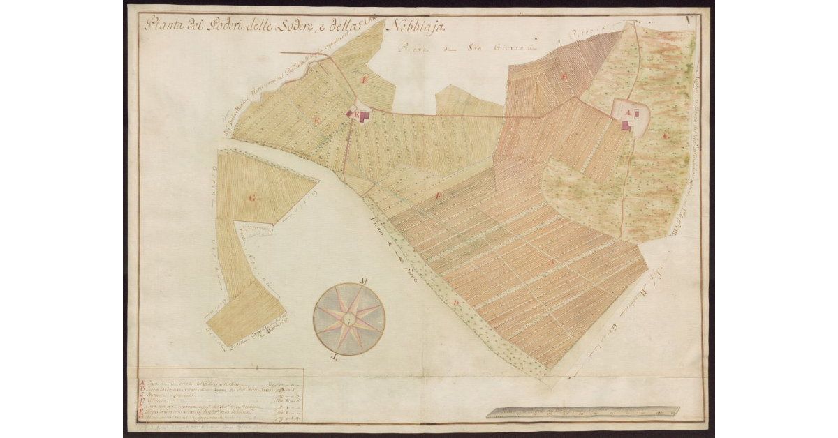 Pianta dei Poderi delle Sodere, e della Nebbiaia