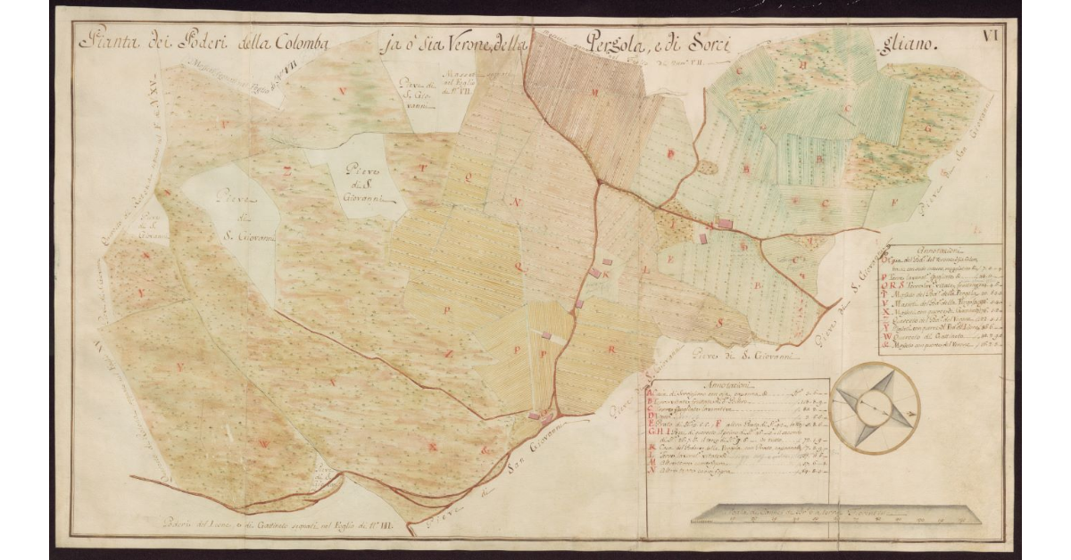 Pianta dei Poderi della Colombaia o sia Verone, della Pergola e di Sorcigliano